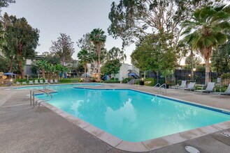Avondale at Warner Center in Woodland Hills, CA - Foto de edificio - Building Photo