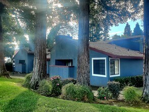 Sunrise Wood Apartments in Citrus Heights, CA - Building Photo - Building Photo