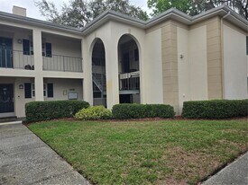 10350 Carrollwood Ln in Tampa, FL - Building Photo