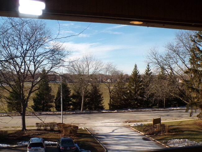 809 S Dwyer Ave in Arlington Heights, IL - Building Photo - Building Photo