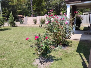 1 David Ct in Sumter, SC - Building Photo - Building Photo