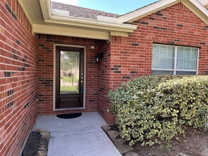 30415 Deleon Fields Dr in Spring, TX - Building Photo - Building Photo