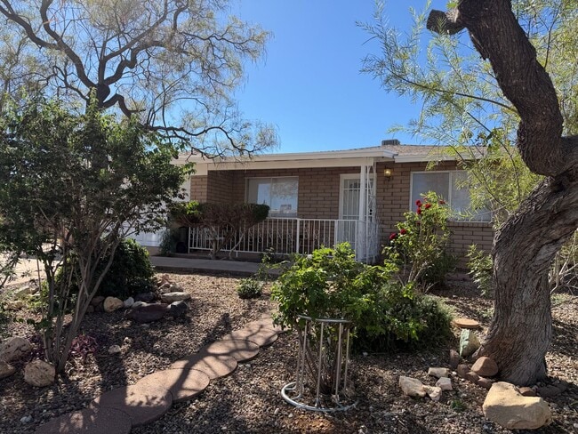 1101 Cholla Cir in Sierra Vista, AZ - Building Photo - Building Photo