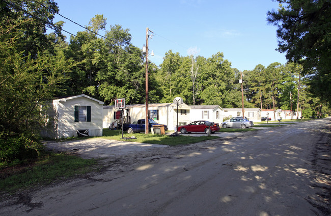 232 Cone Ln in Summerville, SC - Building Photo - Building Photo