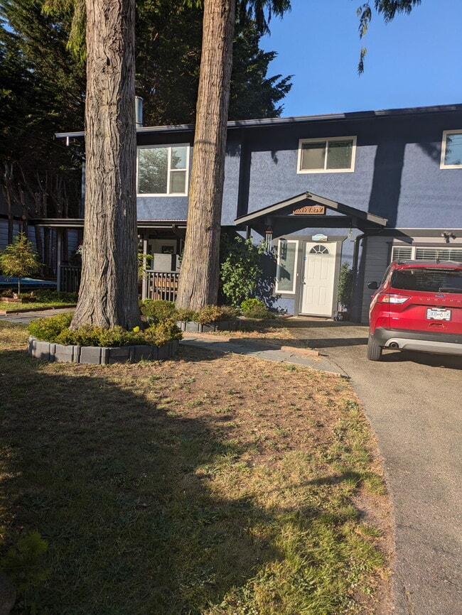 property at 2205 Pyrite Dr