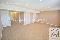 1253 W Bridalwood Loop photo'