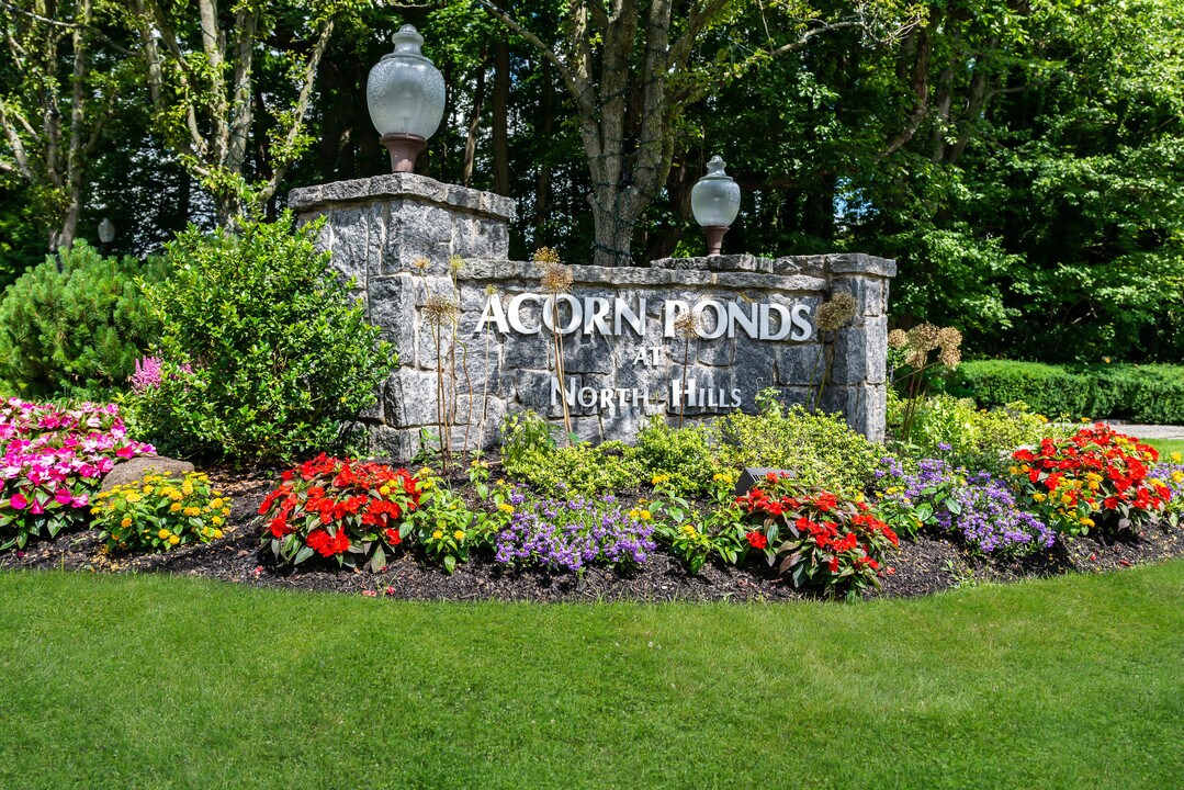 41 Chestnut Hill in Roslyn, NY - Building Photo