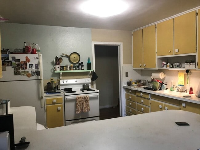 390 Prince St in Tallahassee, FL - Foto de edificio - Building Photo