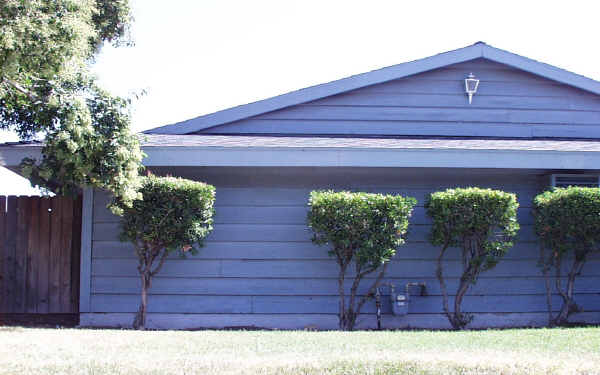 324 San Antonio Ave in Upland, CA - Foto de edificio - Building Photo