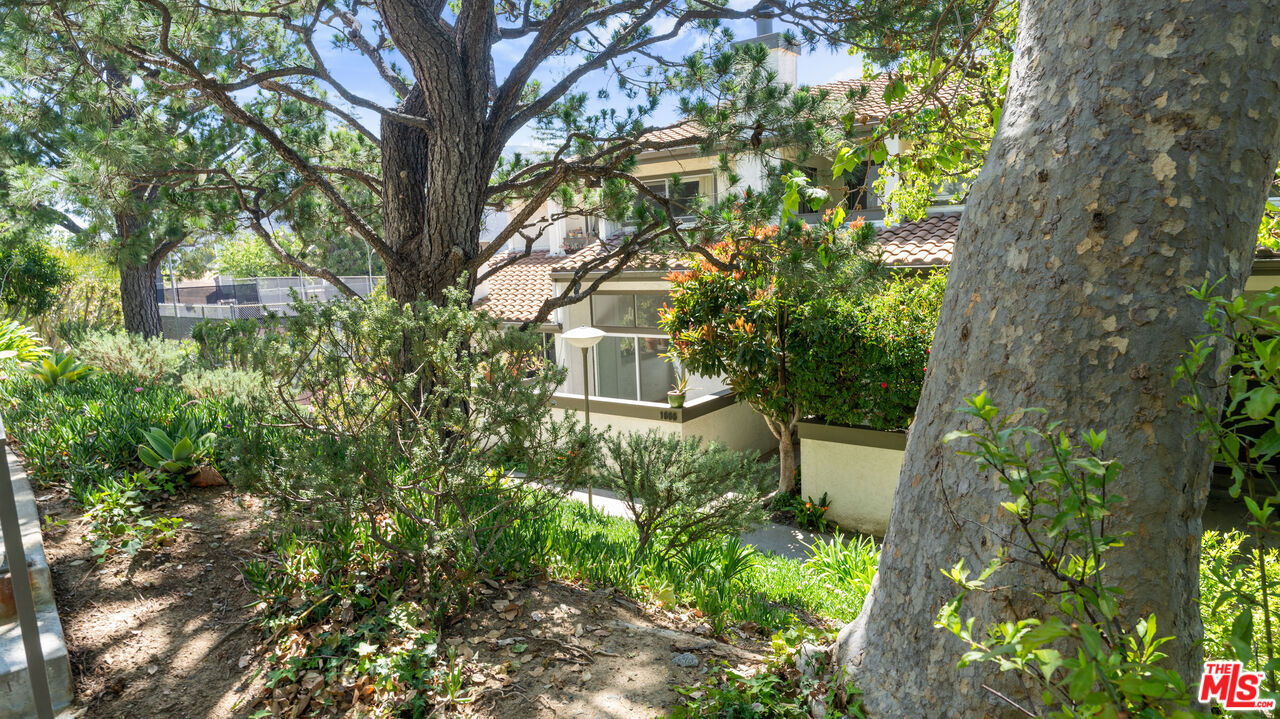 1666 Palisades Dr in Los Angeles, CA - Building Photo