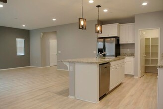 347 Campolina Ct in Fallbrook, CA - Building Photo - Building Photo