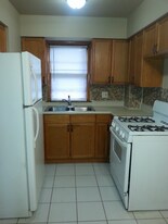 100 Vana Dr in Willow Springs, IL - Building Photo