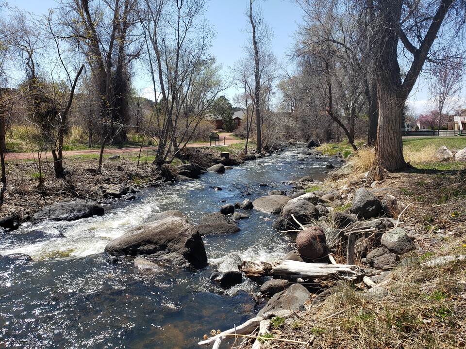 975 SE 3rd St in Cedaredge, CO - Building Photo