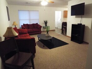 1260 Sanpat Ln in Carbondale, IL - Building Photo - Building Photo