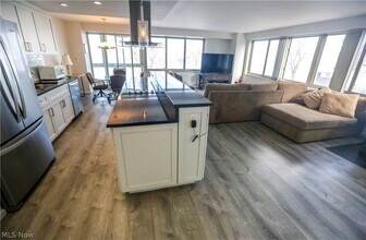 12520 Edgewater Dr in Lakewood, OH - Building Photo - Building Photo