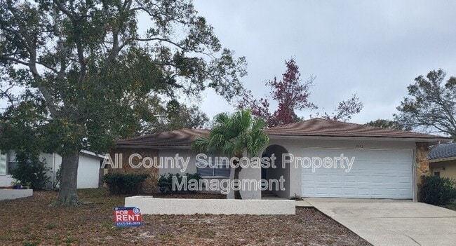 2606 Country Grove Blvd in Palm Harbor, FL - Building Photo - Building Photo