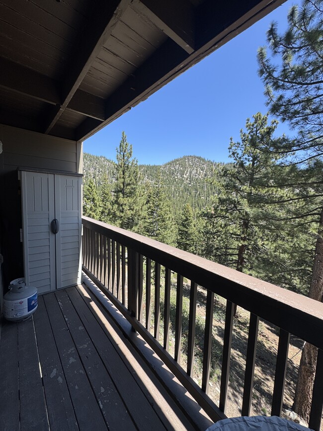 property at 115 Tramway Dr