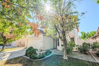 2449 E Glass Ln in Phoenix, AZ - Building Photo - Building Photo