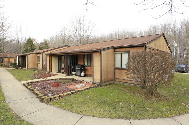 Andover Apartments in Andover, OH - Building Photo - Building Photo