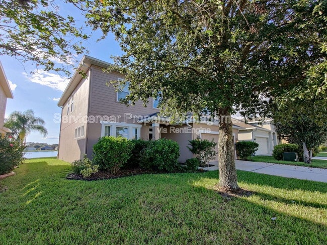 7801 Seafield Ln in Wesley Chapel, FL - Building Photo - Building Photo