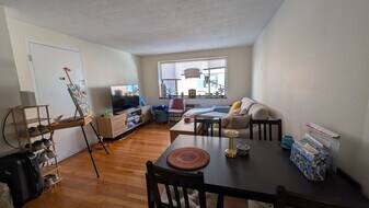 222 Babcock St in Brookline, MA - Building Photo