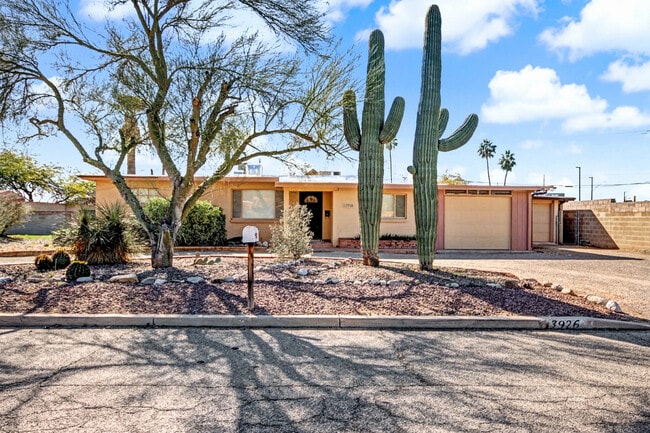 property at 3926 E Camino de Palmas