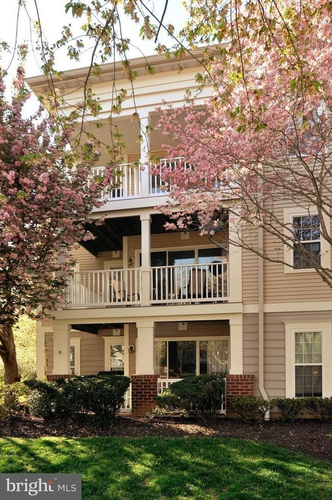 13103 Millhaven Pl, Unit APT E in Germantown, MD - Foto de edificio - Building Photo