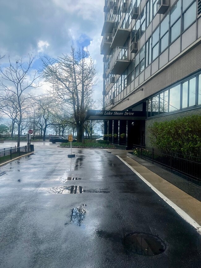 property at 1000 N Lake Shore Dr