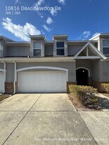 10816 Dragonwood Dr in Tampa, FL - Building Photo
