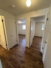 1804 Lily Pl in Loveland, CO - Building Photo - Building Photo