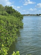 505 Hidden Harbour Dr in Indian Rocks Beach, FL - Building Photo - Building Photo