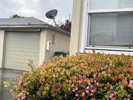 257 Harrison Ave in Redwood City, CA - Building Photo