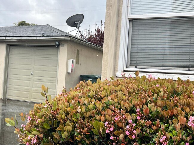property at 257 Harrison Ave