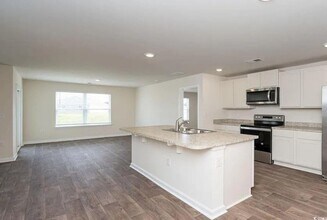 869 Twickenham Lp in Longs, SC - Building Photo - Building Photo
