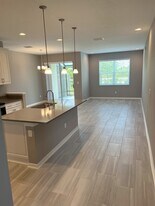 29817 Southwell Ln in Wesley Chapel, FL - Building Photo
