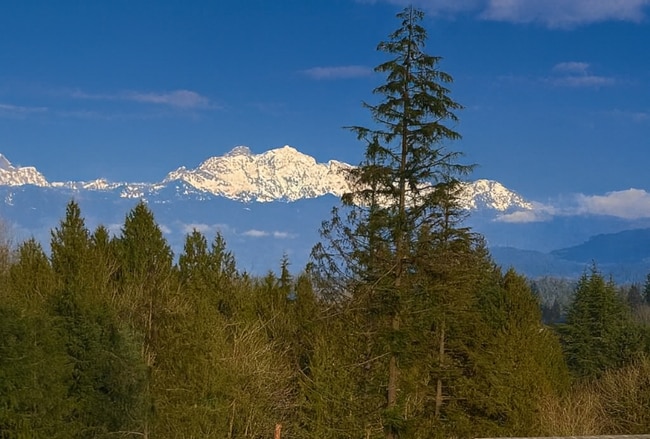 10103 16th Pl SE in Lake Stevens, WA - Building Photo - Building Photo