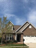 5774 Woodside Forest Trail in Lewisville, NC - Building Photo
