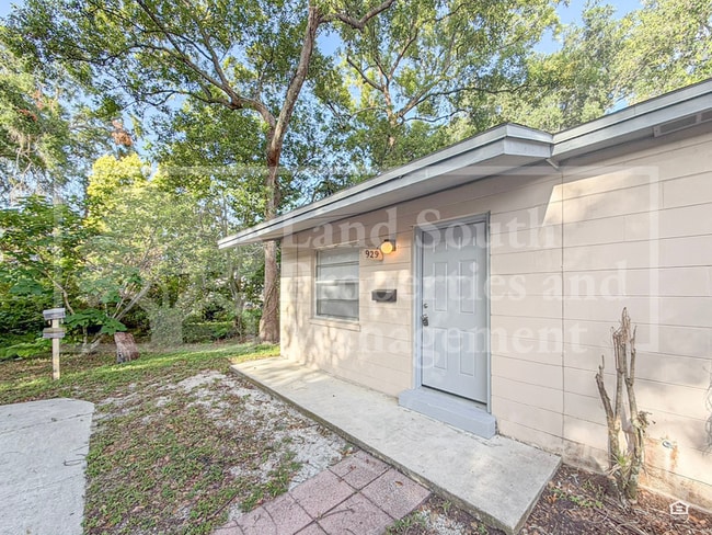 property at 929 Lexington St