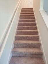 270 Mustard Hl Ct in St. Augustine Beach, FL - Building Photo - Building Photo