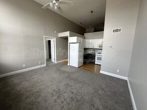 217 W Main St in Ottawa, IL - Building Photo - Building Photo