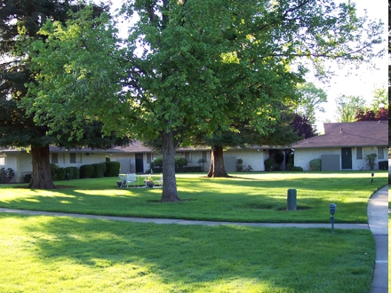 Palo Verde Apartments in Chico, CA - Building Photo - Building Photo