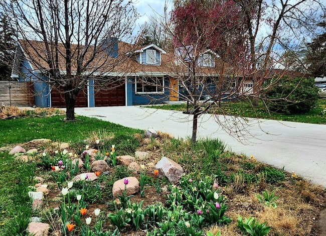 205 Princeton Rd in Fort Collins, CO - Building Photo - Building Photo