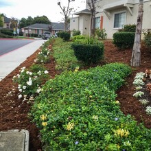 Nantucket Bay Apartments in Salinas, CA - Building Photo - Building Photo