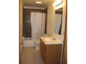 116 Brooklyn Cir in Leadville, CO - Building Photo - Building Photo