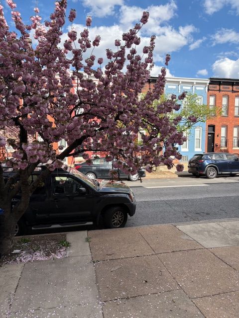 420 N Collington Ave in Baltimore, MD - Building Photo