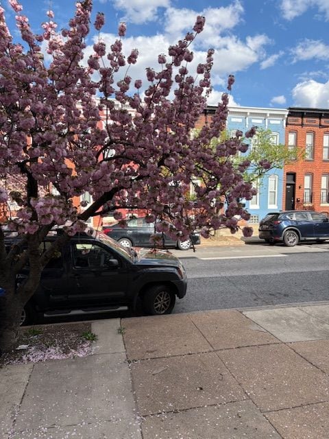 property at 420 N Collington Ave