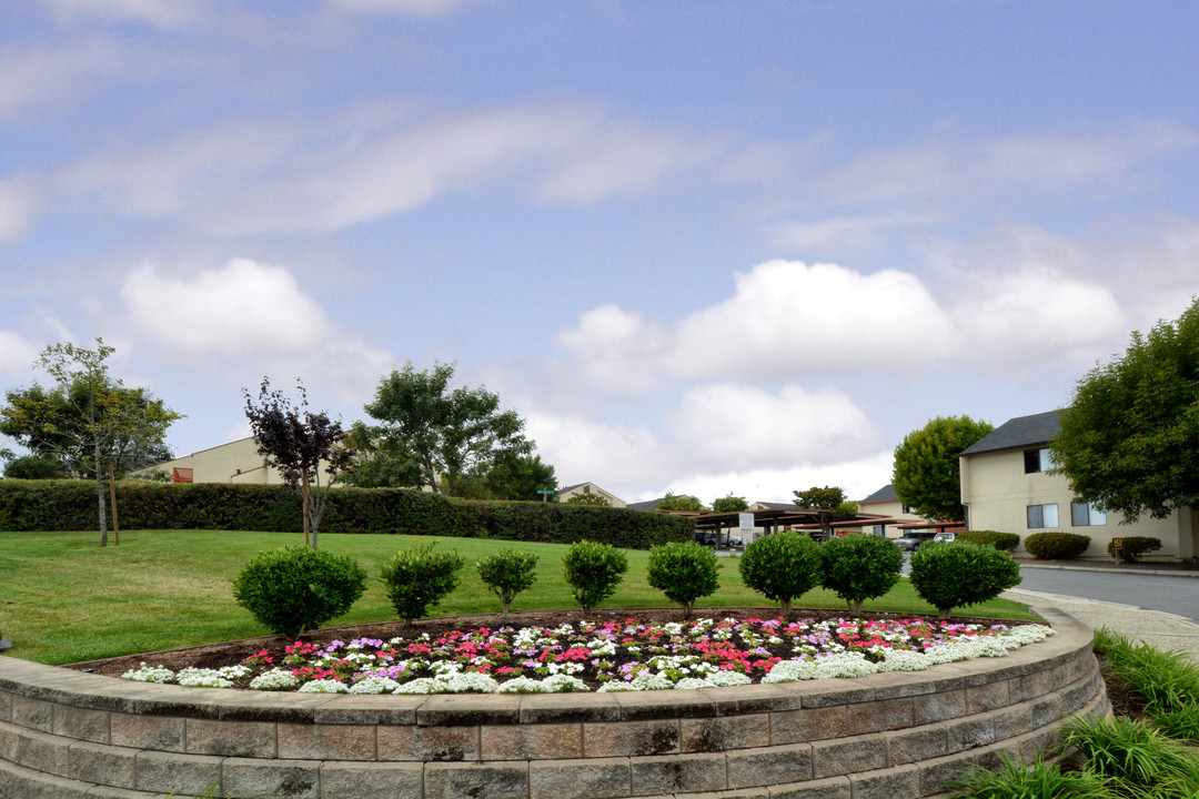 Meadow View Apartments in Watsonville, CA - Foto de edificio