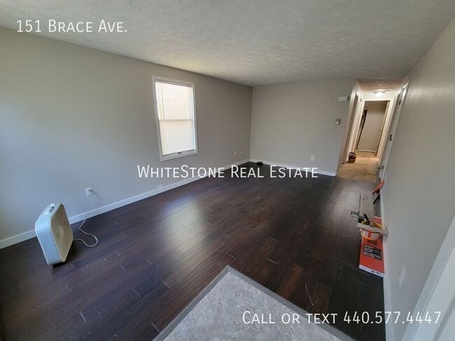 151 Brace Ave in Elyria, OH - Building Photo - Building Photo