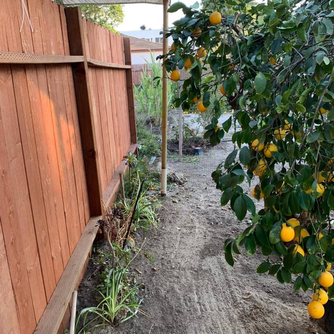 11744 Archwood St in Los Angeles, CA - Foto de edificio - Building Photo