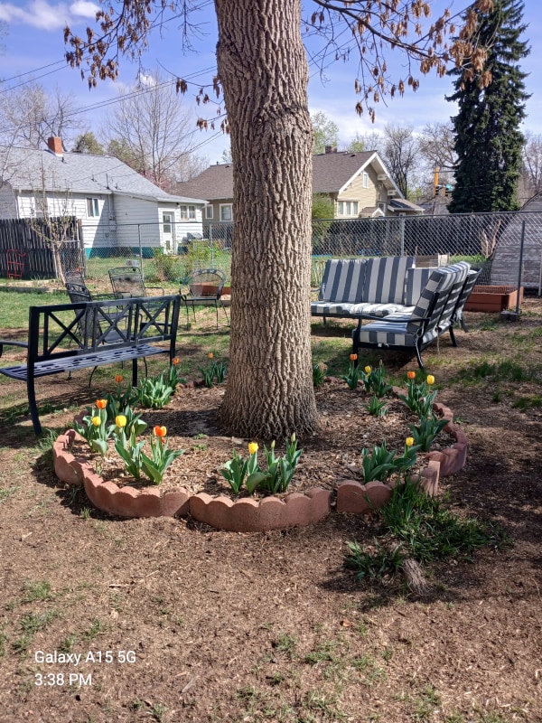 909 Collyer St in Longmont, CO - Building Photo - Building Photo